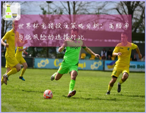 世界杯竞猜投注策略分析：高赔率与低风险的选择对比