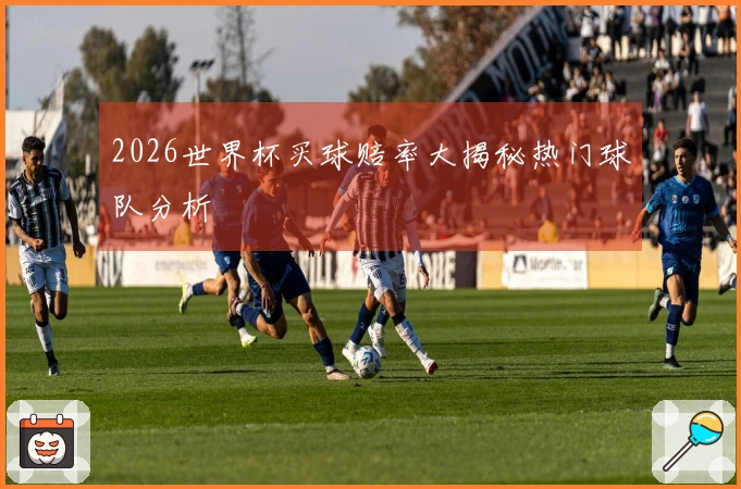 2026世界杯买球赔率大揭秘热门球队分析