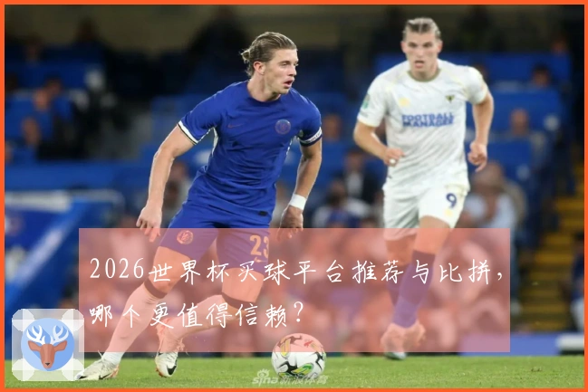 2026世界杯买球平台推荐与比拼，哪个更值得信赖？