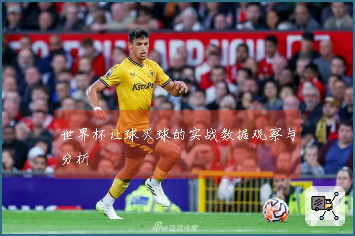 世界杯让球买球的实战数据观察与分析