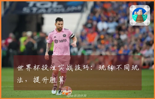 世界杯投注实战技巧：玩转不同玩法，提升胜算