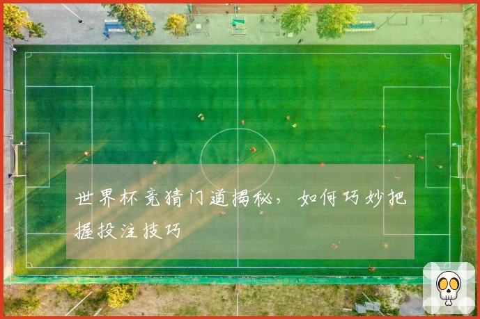 世界杯竞猜门道揭秘，如何巧妙把握投注技巧