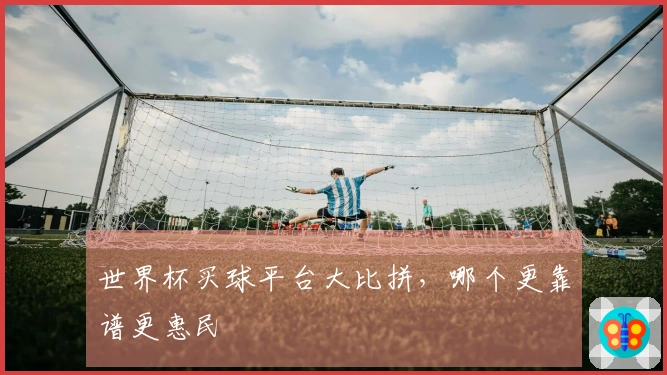 世界杯买球平台大比拼，哪个更靠谱更惠民