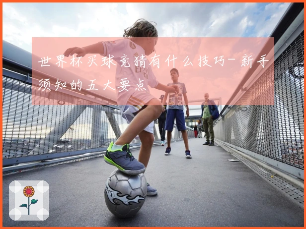 世界杯买球竞猜有什么技巧- 新手须知的五大要点