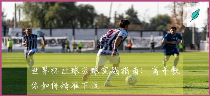 世界杯让球买球实战指南：高手教你如何精准下注