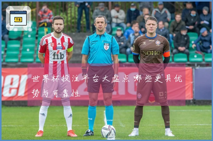 世界杯投注平台大盘点 哪些更具优势与可靠性