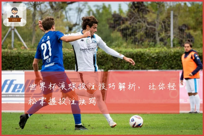 世界杯滚球投注技巧解析，让你轻松掌握投注诀窍