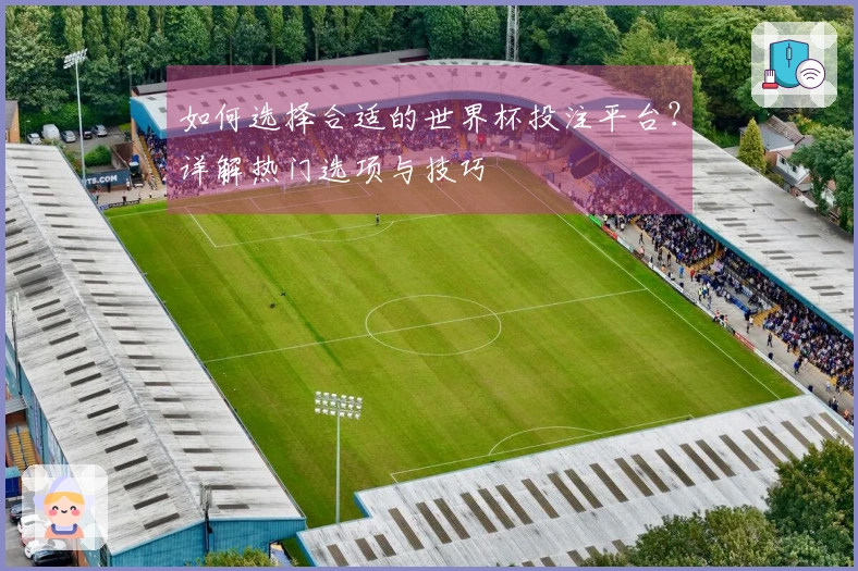 如何选择合适的世界杯投注平台?详解热门选项与技巧
