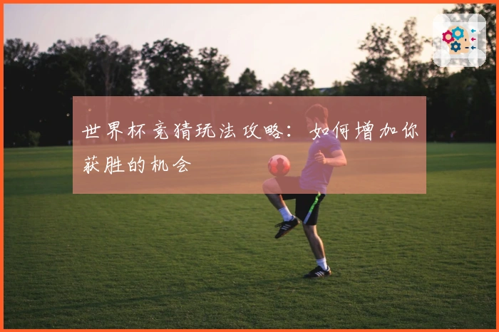 世界杯竞猜玩法攻略：如何增加你获胜的机会