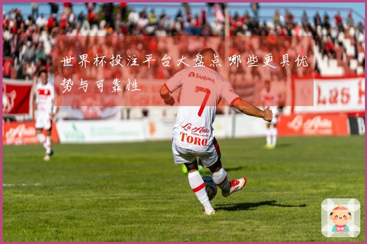 世界杯投注平台大盘点 哪些更具优势与可靠性
