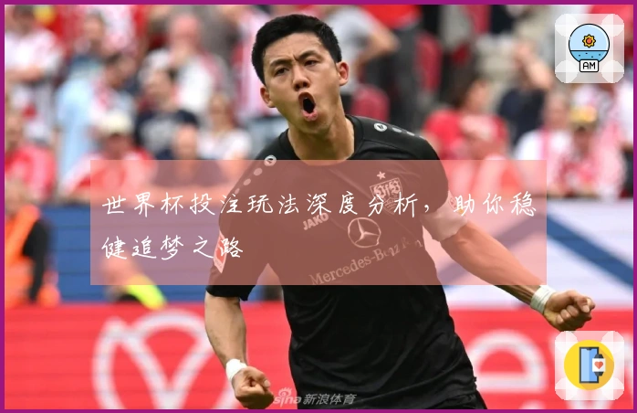 世界杯投注玩法深度分析，助你稳健追梦之路