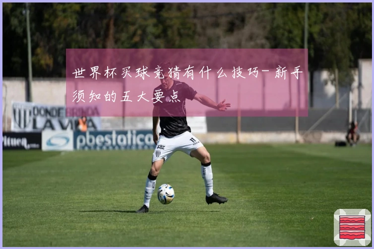 世界杯买球竞猜有什么技巧- 新手须知的五大要点