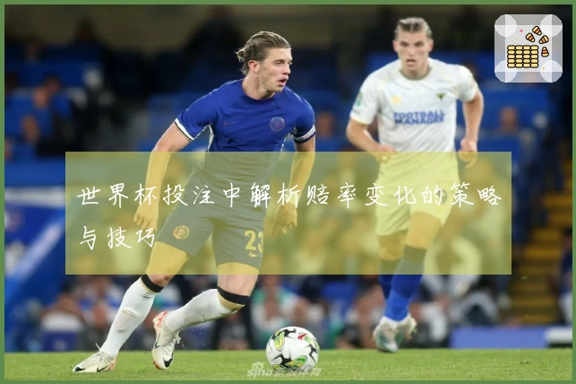 世界杯投注中解析赔率变化的策略与技巧