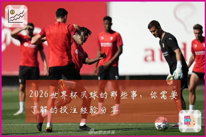 2026世界杯买球的那些事，你需要了解的投注经验分享